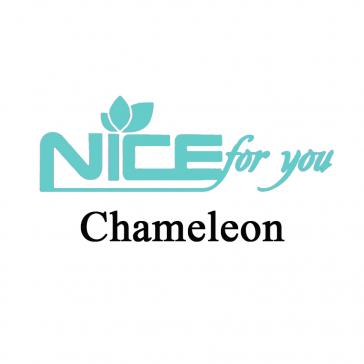 Nice For You - Chameleon